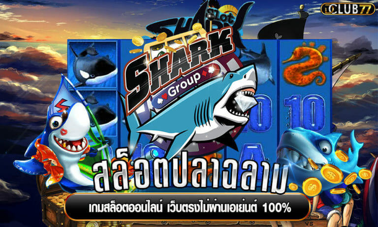 สล็อตปลาฉลาม เกมสล็อตออนไลน์ เว็บตรงไม่ผ่านเอเย่นต์ 100%